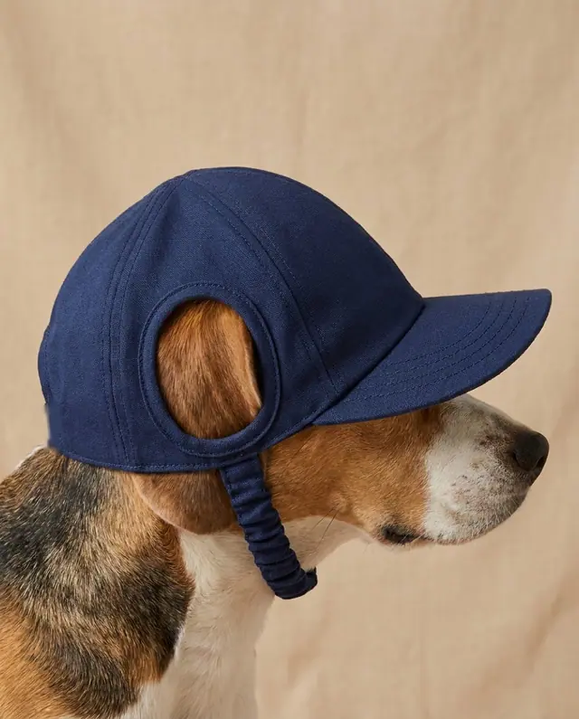 A finished dog cap sewn from the Sewzy pattern