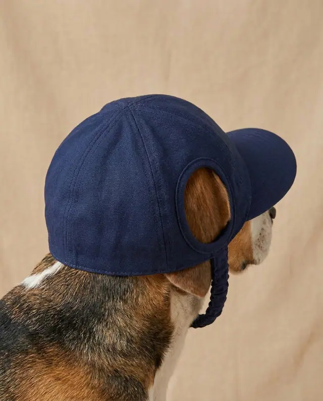 A finished dog cap sewn from the Sewzy pattern, view 2