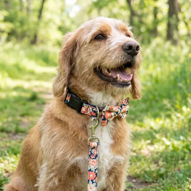 A finished fabric dog collar sewn from the Sewzy pattern