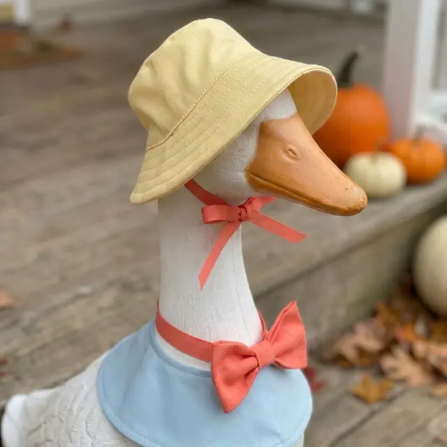 A porch goose wearing the Accessories Set, view 3