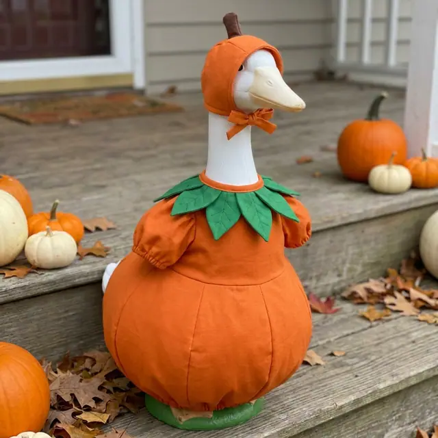 A porch goose wearing the pumpkin outfit