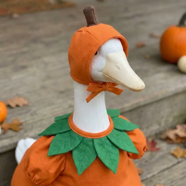 A porch goose wearing the pumpkin outfit, view 3
