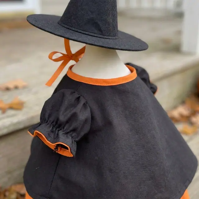 A porch goose wearing the witch outfit, view 3